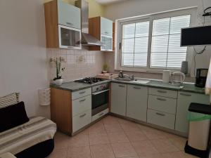 Kuchyň nebo kuchyňský kout v ubytování Apartment Danijela