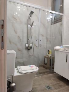 a white bathroom with a shower and a toilet at Ebony and Ivory Suites in Drosia