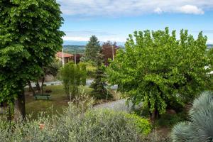 a park with a bench in the middle of trees at Alba Morus in La Morra