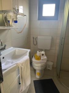 y baño con aseo, lavabo y ducha. en Apartment Vila Tara, en Bihać
