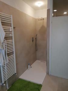 casa a due passi dal centro في بادوفا: حمام مع دش مع سجادة خضراء