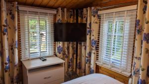 TV a/nebo společenská místnost v ubytování Snowdonia Log cabin