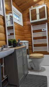 Koupelna v ubytování Snowdonia Log cabin