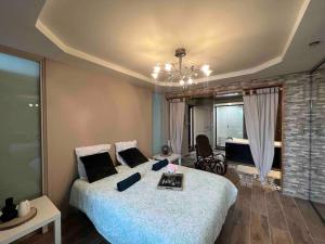 ein Schlafzimmer mit einem großen Bett und einem TV in der Unterkunft Relaxed appartment in Melun