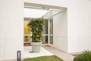 A garden outside Lakefront Contemporary - by My Home In Como