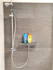 a shower with two bottles of detergent on a shelf in a bathroom at Wohlfühlappartement im Zentrum Spittals in Spittal an der Drau