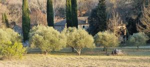 a field with trees and a house in the background at Le domaine du Moulin de Cors in La Roque-sur-Cèze +12 photos
