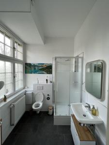 uma casa de banho com um WC, um lavatório e um chuveiro em Viersen Schöne Apartments am Dülkener Bahnhof em Viersen