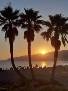 eine Gruppe von Palmen am Strand bei Sonnenuntergang in der Unterkunft Los Duendes in Almería