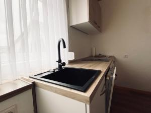 eine Küchentheke mit Spüle und Fenster in der Unterkunft FEWO Vanessa in Willingen + 1 Foto