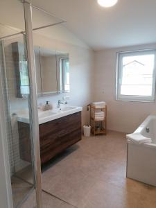 a bathroom with a sink and a shower at Riesenbauer in Zeutschach