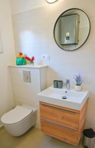 a bathroom with a sink and a toilet and a mirror at Apartment Leo Blue in Vela Luka