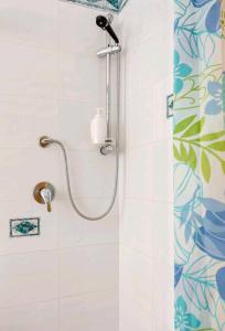 łazienka z prysznicem z głowicą prysznicową w obiekcie Appartamento con giardino w mieście Pomarance