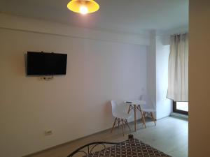 ein Wohnzimmer mit einem Flachbild-TV an der Wand in der Unterkunft Palas Studios in Iaşi