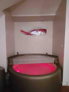 Zimmer mit einem rosa Objekt auf einem WC in der Unterkunft LOFT avec Jacuzzi centre ville Aubenas in Aubenas