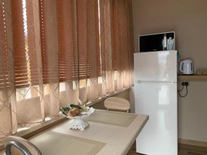 Televízia a/alebo spoločenská miestnosť v ubytovaní Emyteo Apartment