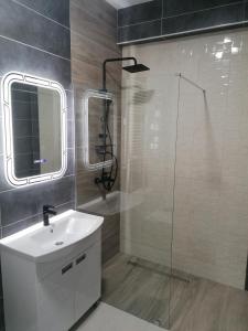 y baño con lavabo y ducha acristalada. en Apartman Dukat, en Višegrad