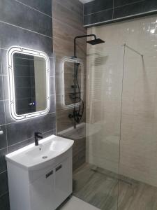uma casa de banho com um lavatório e uma cabina de duche em vidro. em Apartman Dukat em Višegrad