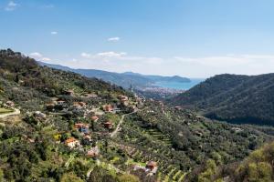 Gallery image of Villa Cangallo in Campodonico