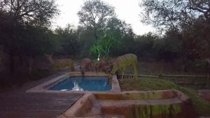 Бассейн в 4609 Ratel или поблизости