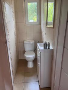 a small bathroom with a toilet and a sink at Smolniki Leśna Oaza in Smolniki +17 photos