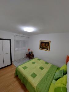 a bedroom with a green bed in a room at Apartman Dorotea in Trebinje