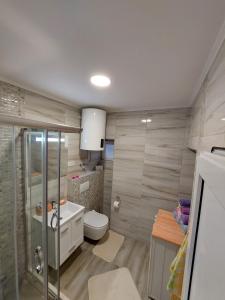 a bathroom with a shower and a toilet and a sink at Apartman Dorotea in Trebinje +13 photos