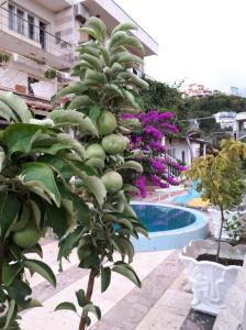 La pileta dentro o cerca de Apartman LOKI
