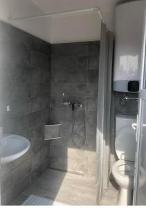 uma casa de banho com um chuveiro, um WC e um lavatório. em B&Z Vendégház em Békésszentandrás