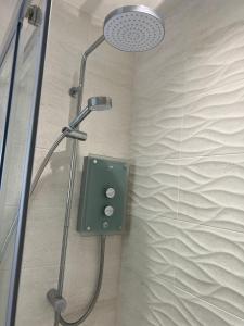 a shower with a shower head in a bathroom at The Gannah Farm Shepherds Hut in Hereford