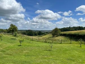 un campo de césped verde con árboles en él en The Gannah Farm Shepherds Hut en Hereford