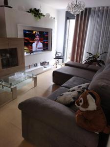 TV a/nebo společenská místnost v ubytování Garrucha Pinar con sorpresa