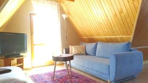 a living room with a blue couch and a tv at Kwatery Prywatne pod Nosalem in Zakopane