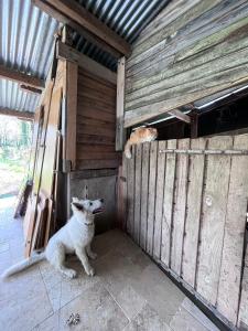 Domáce zviera alebo zvieratá hostí v ubytovaní Villa de l’Eguille