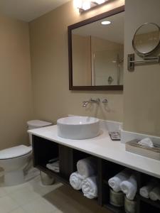 a bathroom with a toilet, sink and mirror at JAG Boutique Hotel in St. John's