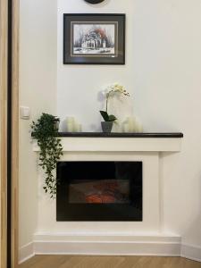 Fotografie z fotogalerie ubytování Apartment Roosevelt v Bělehradě