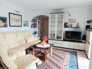 a living room with a couch and a tv at Palm Garden Apartment in Kastav
