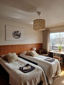 a hotel room with two beds and a chandelier at Botnia Hotel & Restaurant in Kruunupyy
