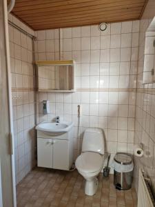 La salle de bains est pourvue de toilettes et d'un lavabo. dans l'établissement Botnia Hotel & Restaurant, à Kruunupyy