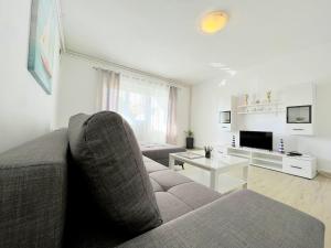 un salon avec un canapé et une table dans l'établissement Palit Hills Superior Apartments, à Rab