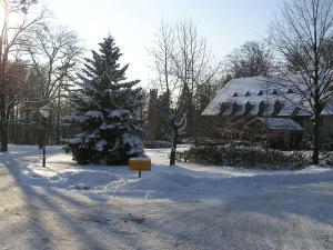 a snow covered yard with a house and a christmas tree at Hotel Schloss Eckberg in Dresden