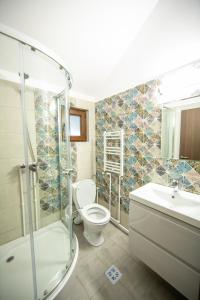 y baño con aseo, ducha y lavamanos. en Catunul din Podei Vila Sophia, en Dragoslavele