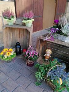 eine Gruppe Blumen in Töpfen auf einer Terrasse in der Unterkunft Fewo Eder - Loft - Studio in Hemfurth-Edersee