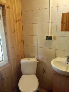 uma casa de banho com um WC e um lavatório em Domek w lesie em Czerce