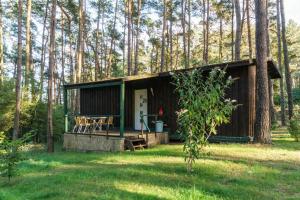 Urlaub im Bungalow mitten im Wald外面的花园