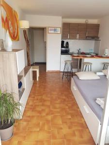 Kuchyňa alebo kuchynka v ubytovaní Studio meublé climatisé centre port cap d'Agde