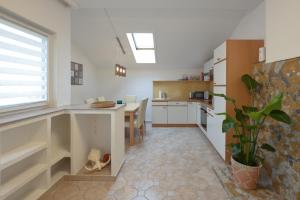 a kitchen with a counter and a table with a plant at Klausner Kunterbunt in Volders