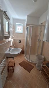 łazienka z prysznicem i umywalką w obiekcie Apartment Klínovec SUN - garážové parkování w mieście Loučná pod Klínovcem +50 zdjęć