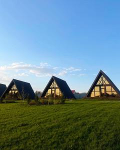 un gruppo di edifici in un campo con erba verde di A frame 