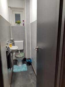 uma casa de banho com um WC e um lavatório em Mátrai5Vendégház em Galyatető